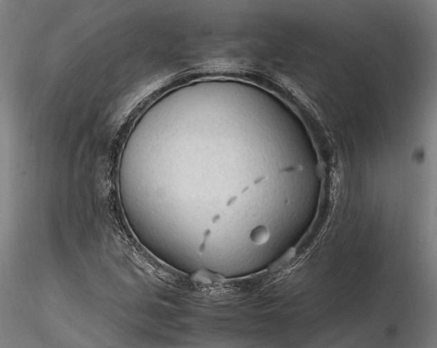 X0000116311213200912141351