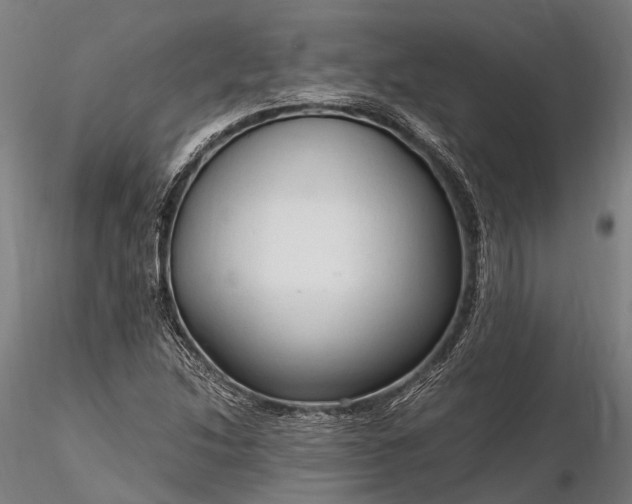 X0000116311214200912141351