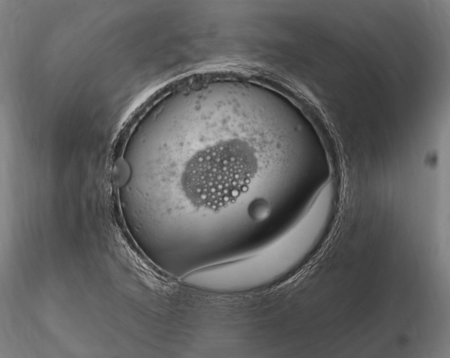 X0000116311216200912141351