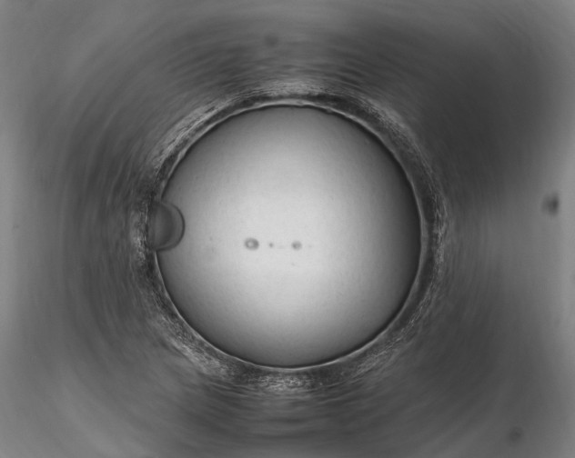 X0000116311217200912141351