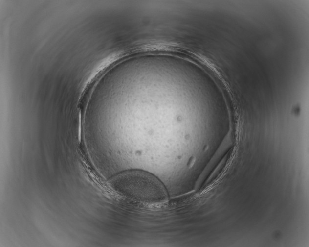 X0000116311219200912141351