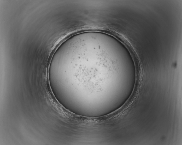 X0000116311220200912141351