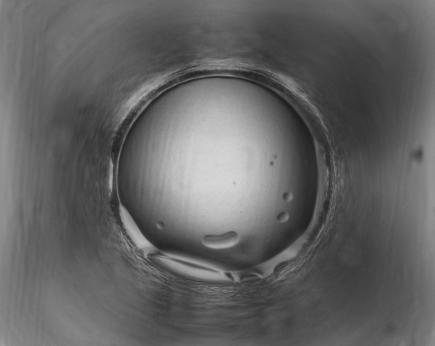 X0000116311221200912141351