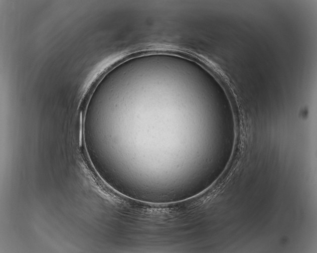 X0000116311223200912141351