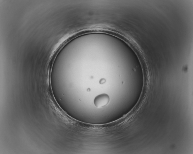 X0000116311224200912141351