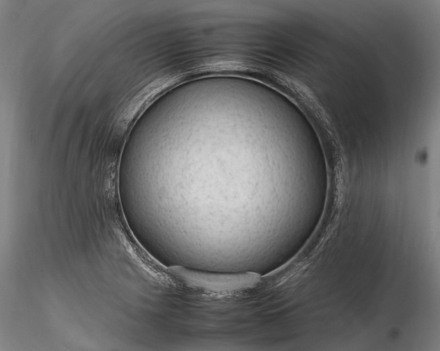 X0000116311225200912141351