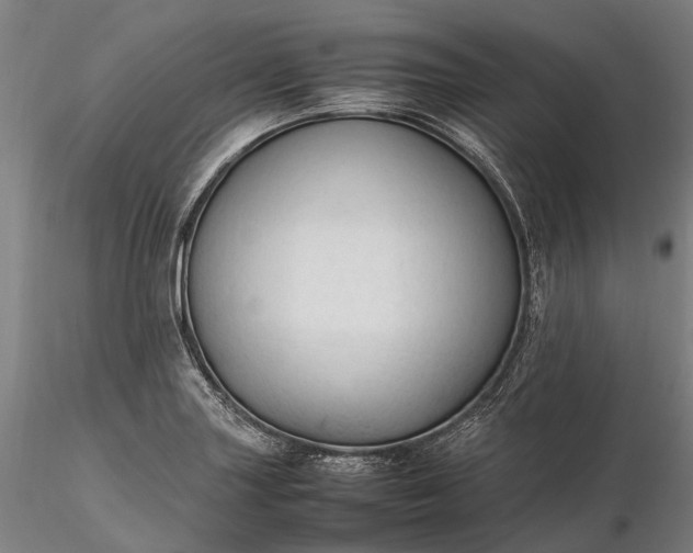 X0000116311227200912141351