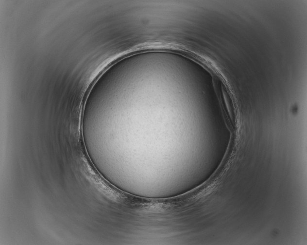 X0000116311228200912141351