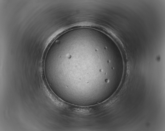 X0000116311229200912141351