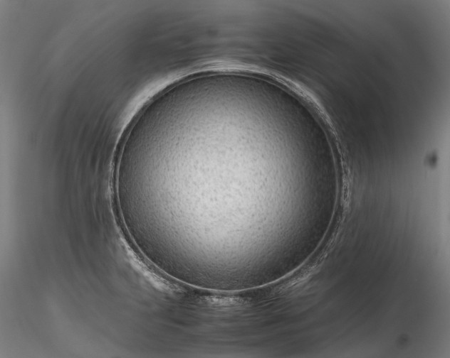 X0000116311231200912141351