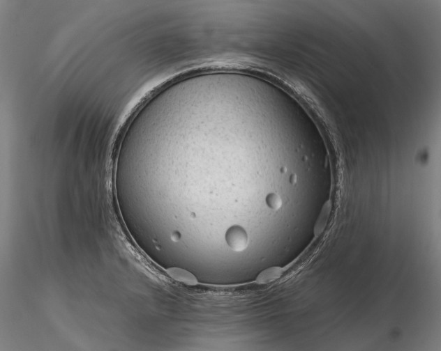 X0000116311232200912141351