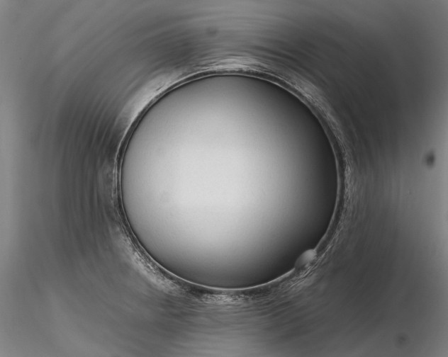 X0000116311234200912141351