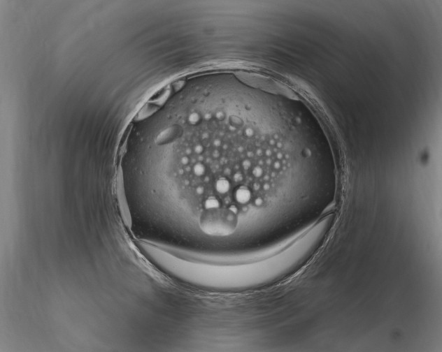 X0000116311236200912141351