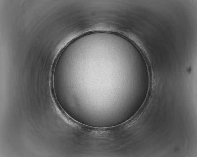 X0000116311237200912141351