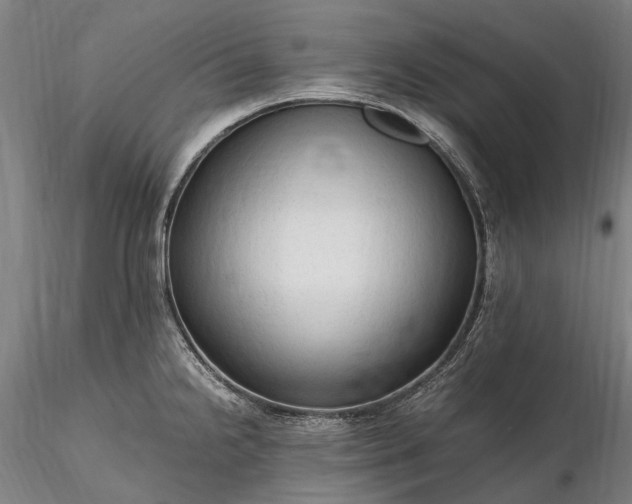 X0000116311238200912141351