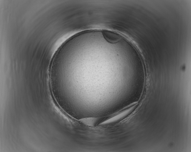 X0000116311239200912141351