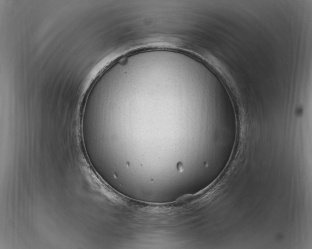 X0000116311240200912141351