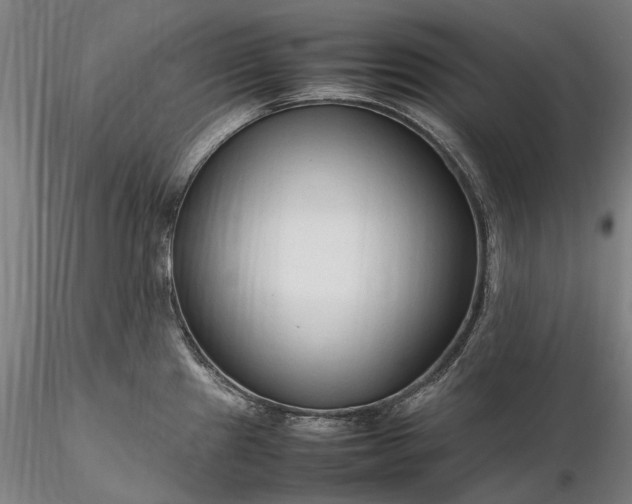 X0000116311241200912141351