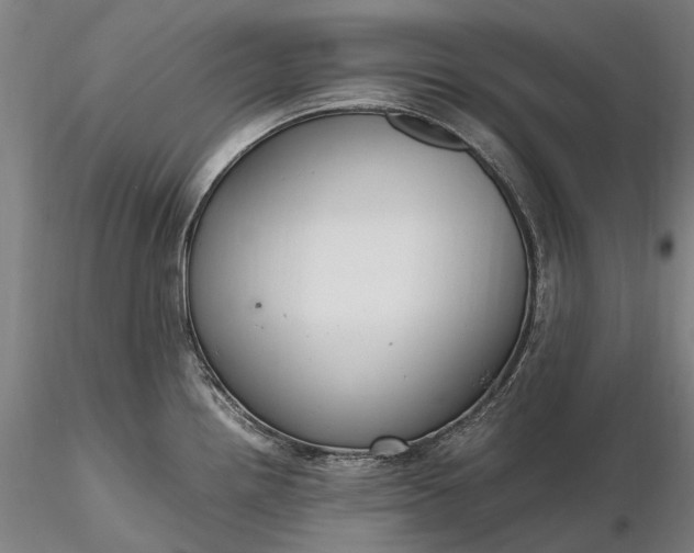 X0000116311242200912141351