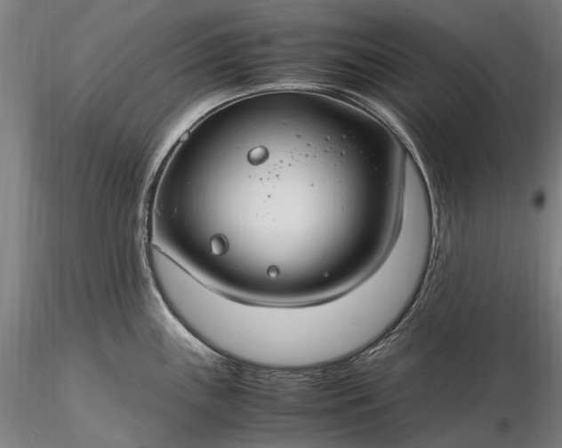 X0000116311243200912141351