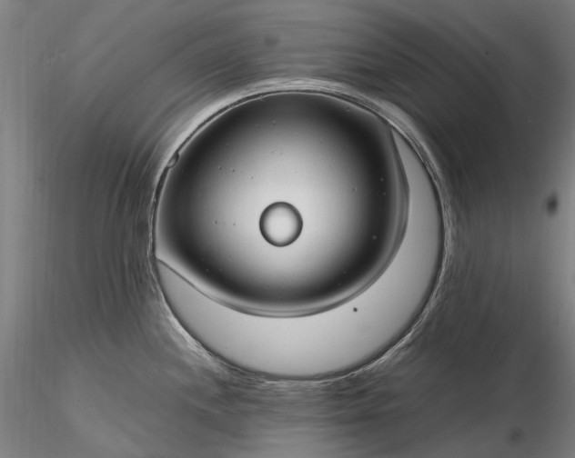 X0000116311244200912141351