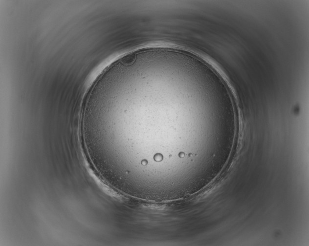 X0000116311245200912141351