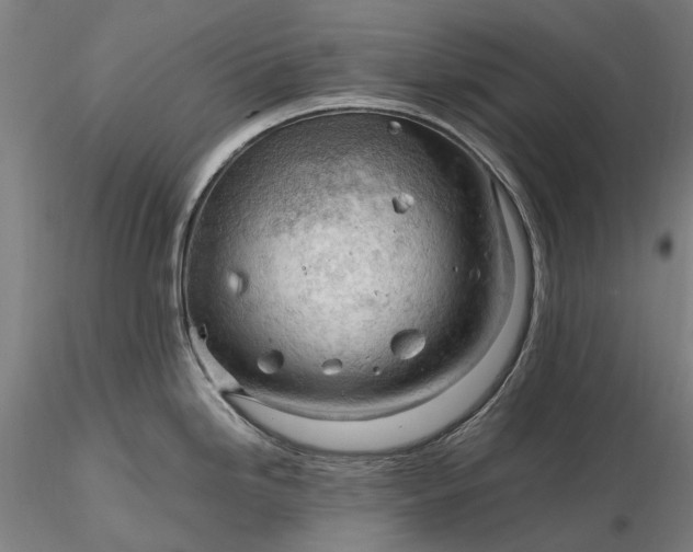 X0000116311246200912141351