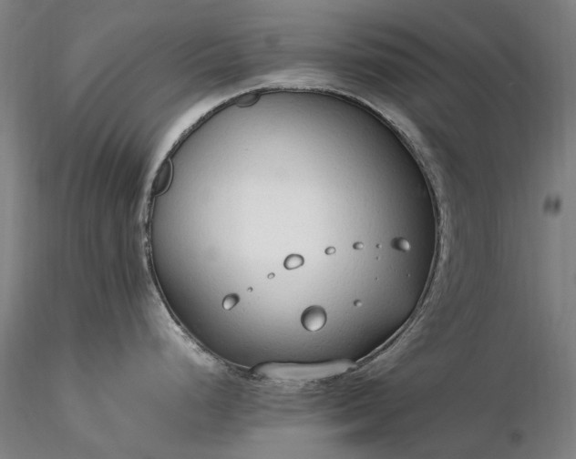 X0000116311248200912141351