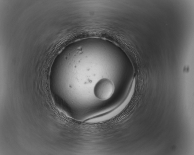 X0000116311249200912141351