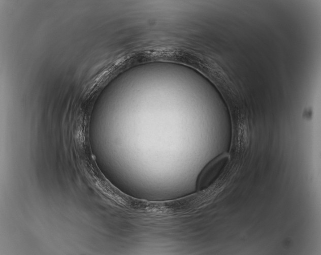 X0000116311250200912141351