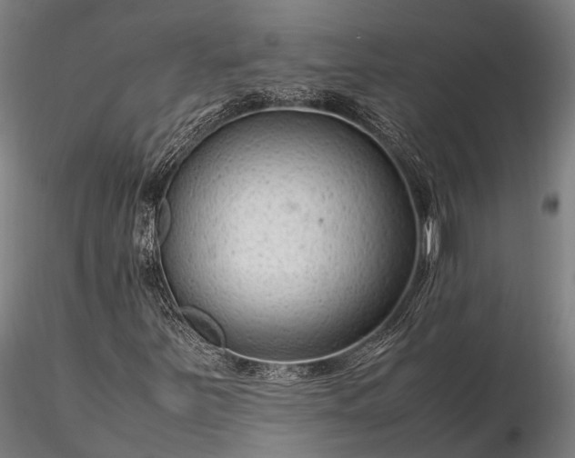 X0000116311251200912141351