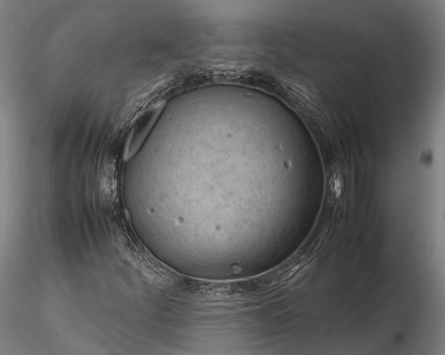 X0000116311252200912141351