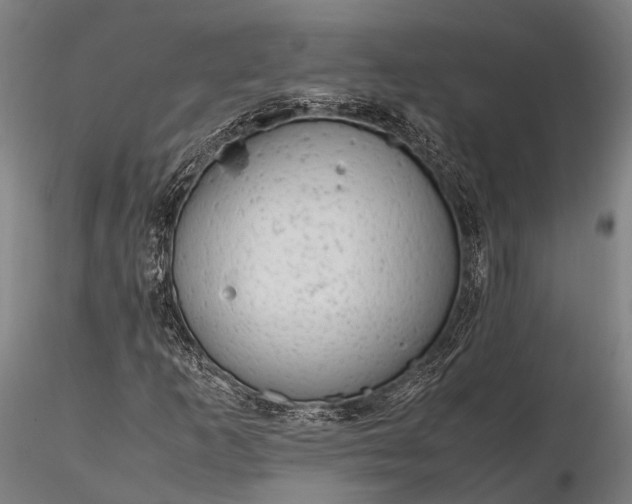 X0000116311253200912141351