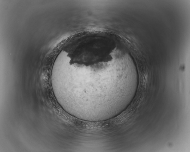 X0000116311254200912141350