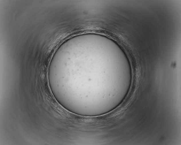 X0000116311257200912141350