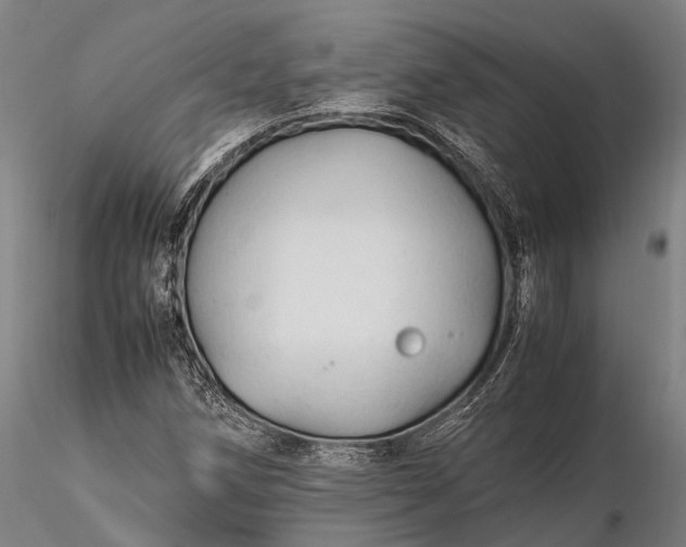 X0000116311258200912141350