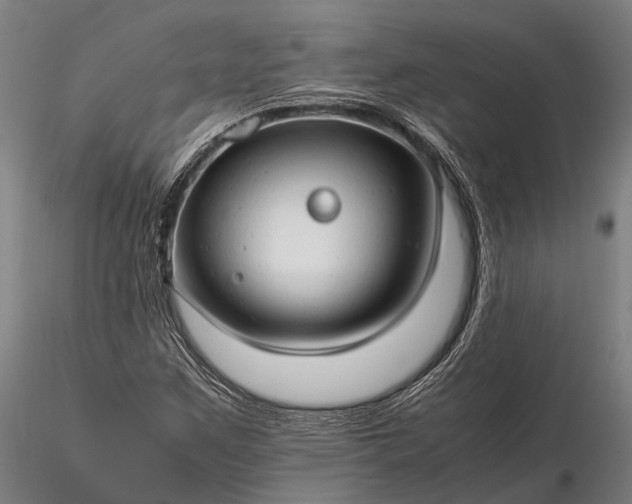 X0000116311259200912141350