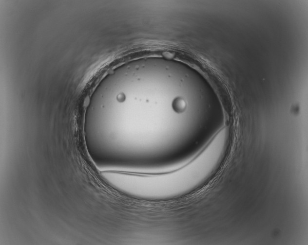 X0000116311261200912141350