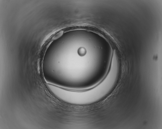 X0000116311262200912141350