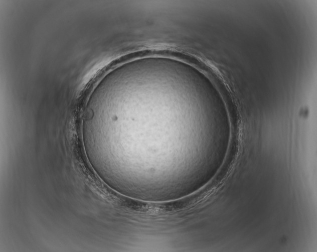 X0000116311263200912141350