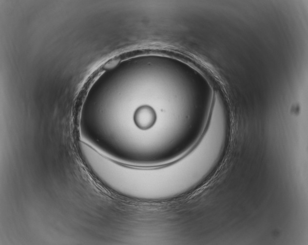 X0000116311264200912141350