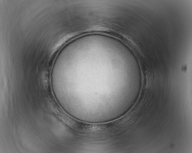 X0000116311266200912141350