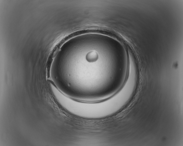 X0000116311267200912141350