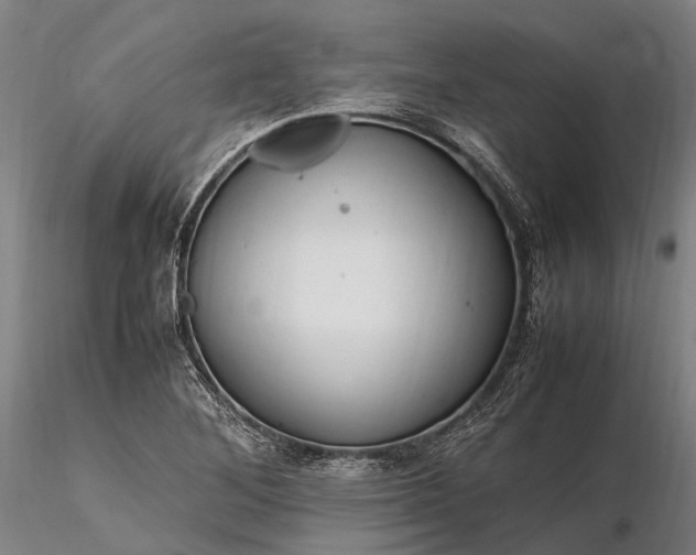 X0000116311268200912141350