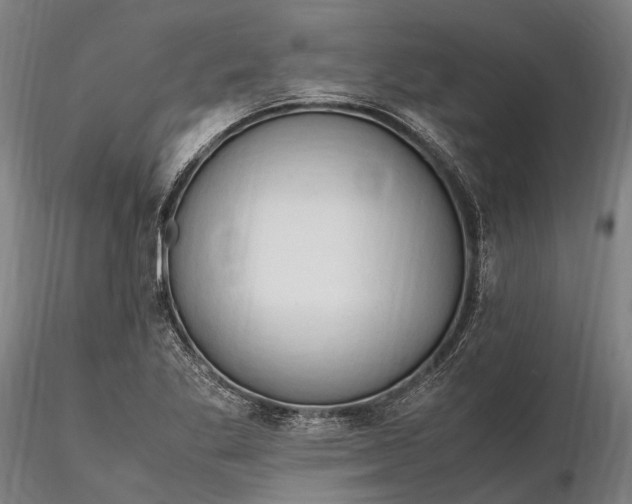 X0000116311269200912141350