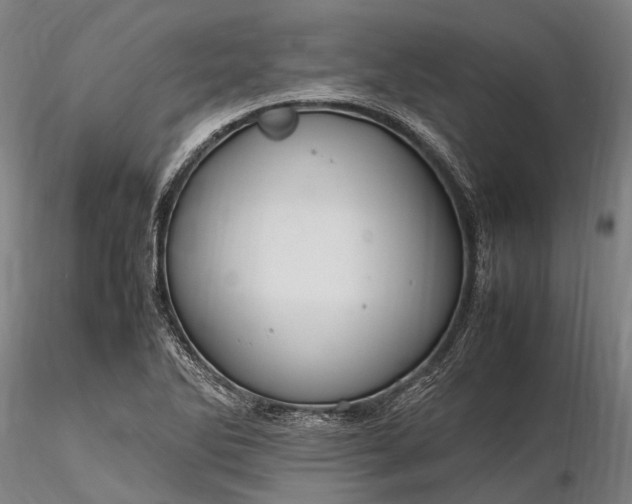 X0000116311270200912141350