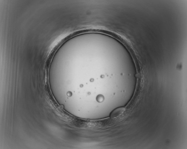 X0000116311271200912141350