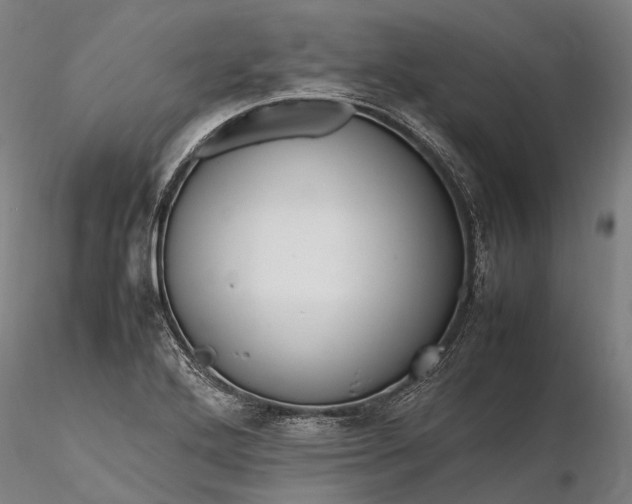 X0000116311272200912141350