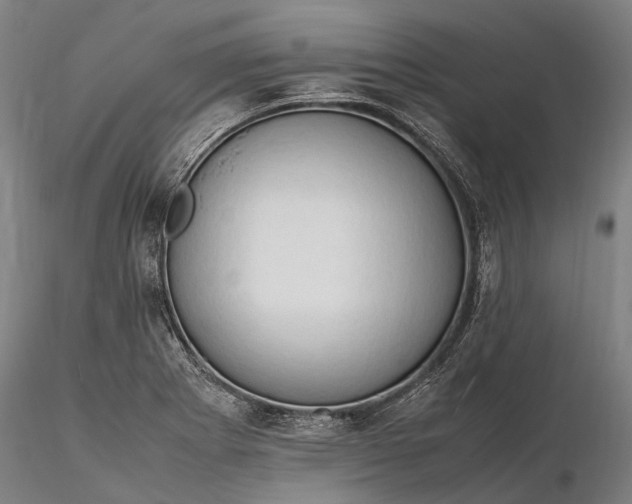 X0000116311273200912141350