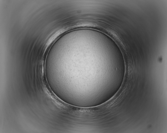 X0000116311274200912141350